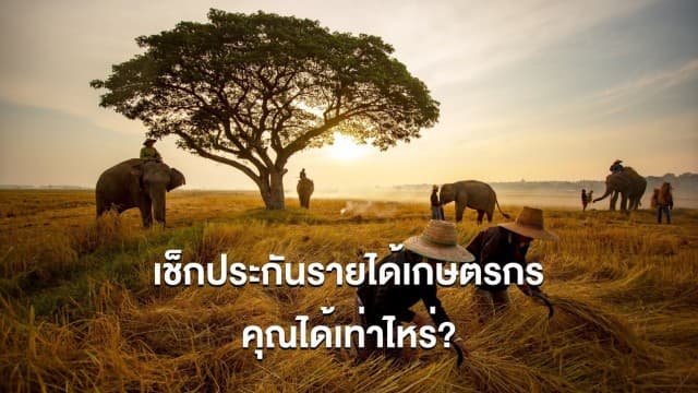 สอนวิธีตรวจสอบสถานะโอนเงิน ‘ประกันรายได้เกษตรกร’ คุณได้เท่าไหร่?