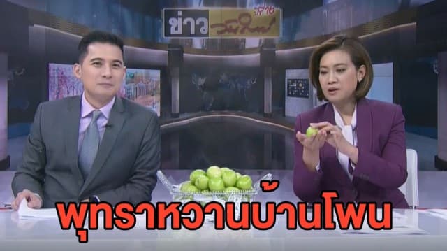 ชวนซื้อพุทราหวานบ้านโพน จ.กาฬสินธุ์ หวาน กรอบ ปลอดสารพิษ