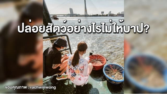 จากดราม่าก้อยตูน ตอบปมอยากทำบุญปล่อยสัตว์ ปล่อยอย่างไรไม่ให้บาป?