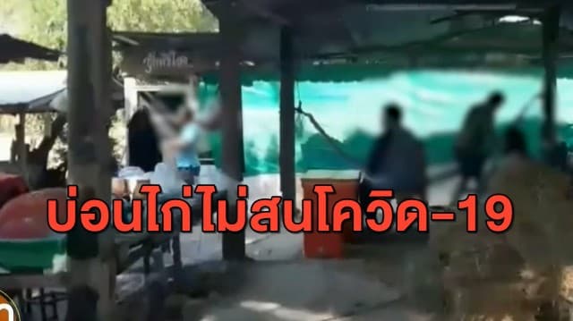 นาที ตร.บุกจับบ่อนไก่ชน ลักลอบเล่นพนันเย้ยโควิด-19