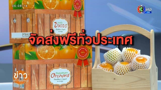 ไทยแลนด์โพสต์มาร์ต ชวนชิม ‘ส้มสายน้ำผึ้ง' จากสวนส้มธนาธร ส่งตรงจาก อ.ฝาง จ.เชียงใหม่