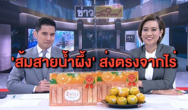 ไทยแลนด์โพสต์มาร์ต ชวนชิม ‘ส้มสายน้ำผึ้ง' จากสวนส้มธนาธร ได้มาตรฐานรับรองจาก GAP
