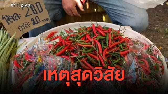 พาณิชย์โคราชตรวจเจอพริกเม็ดละ 1 บาท แจงเป็นเหตุสุดวิสัยช่วงวิกฤติโควิด-อาการหนาว