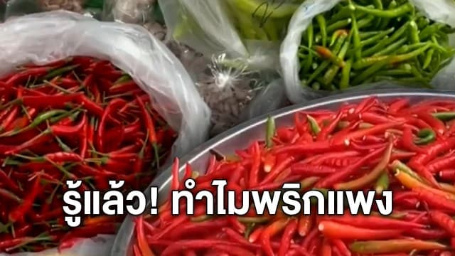 รู้แล้ว! สาเหตุพริกแพง เม็ดละ 1 บาท - เช็กราคาพริกวันนี้