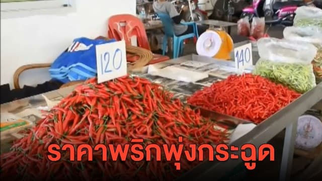 แม่ค้าตลาดอุดรเผย ราคาพริกพุ่งกระฉูด แพงสุดในรอบ 33 ปี 