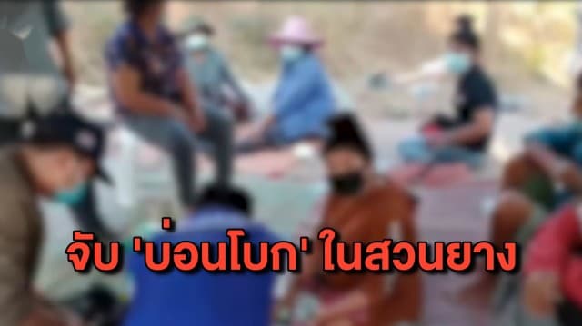 ปกครองบุรีรัมย์บุกจับ ‘บ่อนโบก’ ลอบกางเต็นท์เล่นในสวนยาง พบเซียนพนันสูงวัยเพียบ