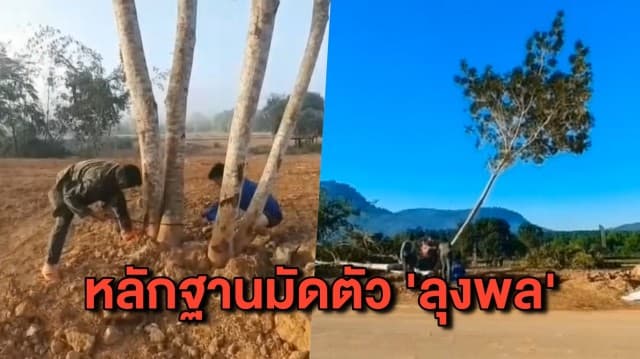 หลักฐานมัดตัว! ยูทูบเบอร์ถ่ายคลิป ‘ลุงพล’ ตัดไม้เขตพื้นที่สงวน