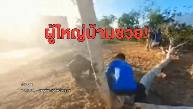 ผู้ใหญ่บ้านซวย! โดนฟันโทษฐานละเว้นปฏิบัติหน้าที่ ปล่อย 'ลุงพล-ยูทูปเบอร์' ตัดต้นไม้ สร้างพญานาค
