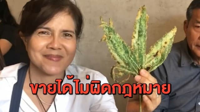 พ่อค้าร้านอาหารกัญชาโล่งใจ มีใบอนุญาตขายได้ ไม่ผิดกฎหมาย