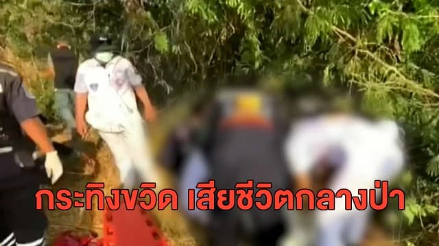 สลด ชาวบ้านออกหาไข่มดแดง ถูกกระทิงป่าวิ่งชนไส้ทะลัก แขน-ขาหักผิดรูป เสียชีวิตกลางป่า