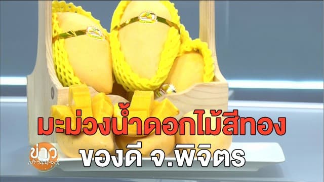 ส่งฟรี! ‘มะม่วงน้ำดอกไม้สีทอง’ คัดพิเศษจากชาวพิจิตร สั่งซื้อได้ที่ ‘ไทยแลนด์โพสต์มาร์ท’