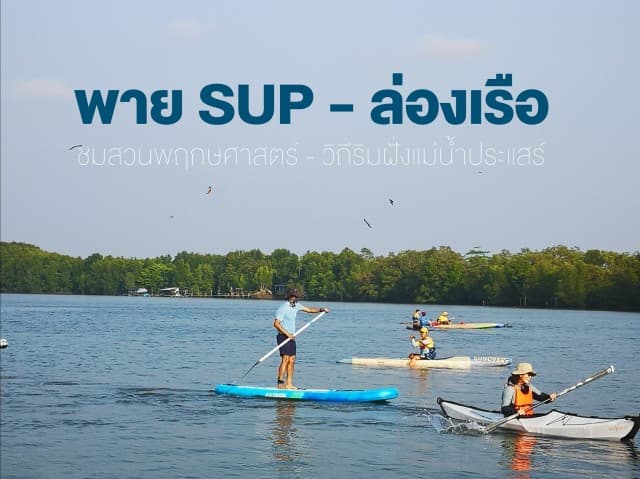 พาย SUP ลงเรือ ชมสวนพฤกษศาสตร์ระยอง-ล่องวิถีชุมชนแม่น้ำประแส