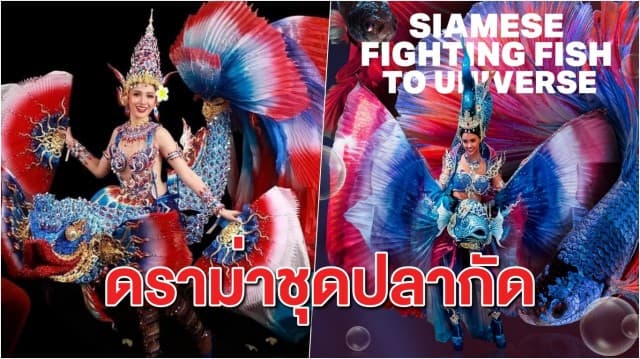 สรุปดราม่าเวทีนางงาม! หลังชุดประจำชาติ 'ปลากัดลาว' คล้ายชุด 'ปลากัดไทย' ของ 'อแมนด้า' 