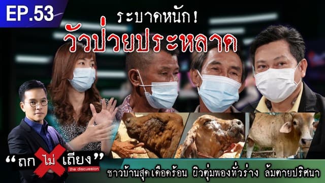 เกษตรกรเดือดร้อนหนัก วัวป่วยโรคลัมปี สกิน ผิวตุ่มพองทั่วร่าง ล้มตายระนาว ปศุสัตว์ สั่งเร่งช่วยเหลือ ชี้วัคซีนไม่ใช่คำตอบ