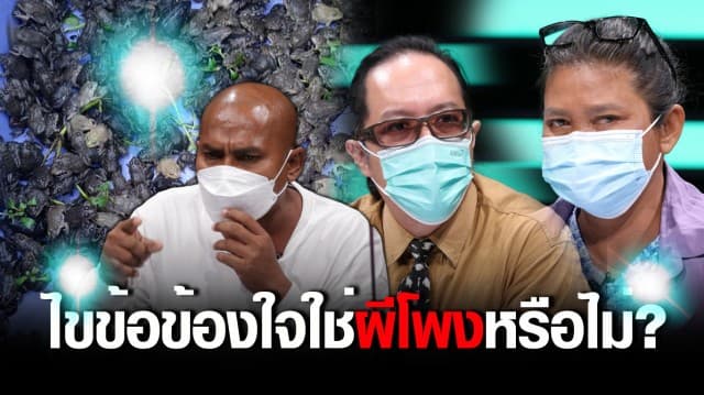 'หมอปลา - นักวิชาการ' ไขข้อข้องใจ กบตายปริศนาเครื่องในหาย ใช่ฝีมือ 'ผีโพง' หรือไม่ : ช็อตเด็ด ถกไม่เถียง 