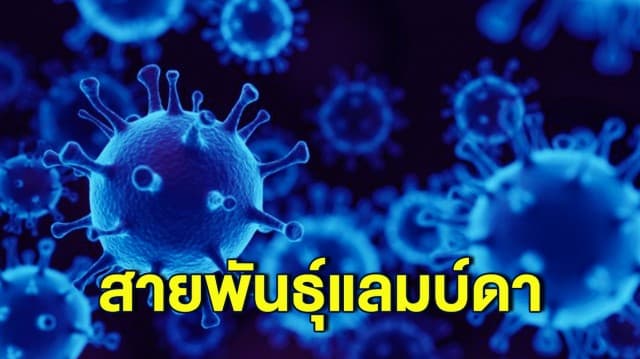 WHO ประกาศพบเชื้อโควิด-19 กลายพันธุ์ สายพันธุ์แลมบ์ดา