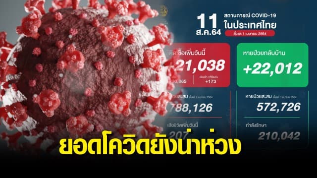 ยอดติดเชื้อกลับมาแตะหลัก 2 หมื่น พบป่วยเพิ่ม 21,038 ราย คร่าเพิ่ม 207 ชีวิต