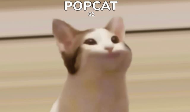 ผู้ออกแบบ POPCAT เรียกร้อง เรียนรู้และรับฟัง ผู้ชุมนุมในไทย ต้องการเปลี่ยนแปลง