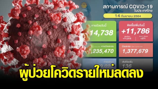 ผู้ป่วยโควิดรายใหม่ลดลง พบติดเชื้อ 11,786 ราย คร่าเพิ่ม 136 ชีวิต