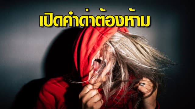 คิดให้ดีก่อนด่าใคร คำด่าแบบไหน หลุดปากมีสิทธิ์ติดคุก!