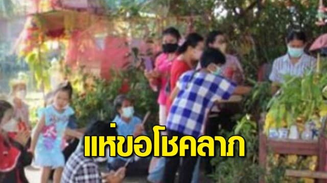 ชาวบ้านแห่ขอโชคลาภ ต้นจามจุรียักษ์ อายุกว่าร้อยปี 