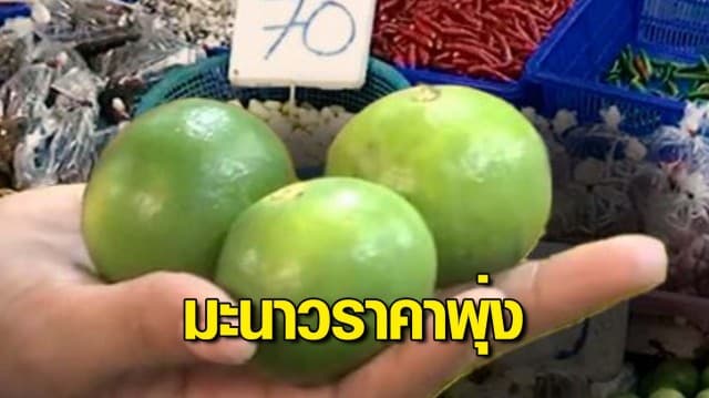 อากาศร้อน! มะนาวราคาพุ่งเฉลี่ยลูกละเกือบ 7-8 บาท คาด เม.ย. อาจแตะ 10 บาทต่อลูก