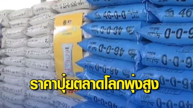 สงครามรัสเซีย-ยูเครน ส่งผลราคาปุ๋ยตลาดโลกพุ่งสูงเป็นประวัติการณ์ เพิ่มกว่า 30 เปอร์เซ็นต์ 