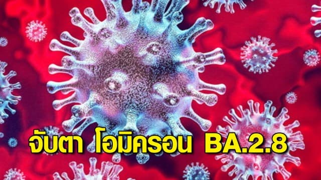 ดร.อนันต์ จับตา โอมิครอน BA.2.8 แพร่เร็วกว่า BA.2 ปกติ 34% และ ไวกว่า BA.1.1 ถึง 110% หวั่นสร้างปัญหาเพิ่ม