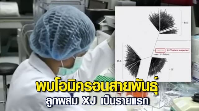 กรมวิทย์แจง ไทยพบโอมิครอนสายพันธุ์ลูกผสม XJ เป็นรายแรก