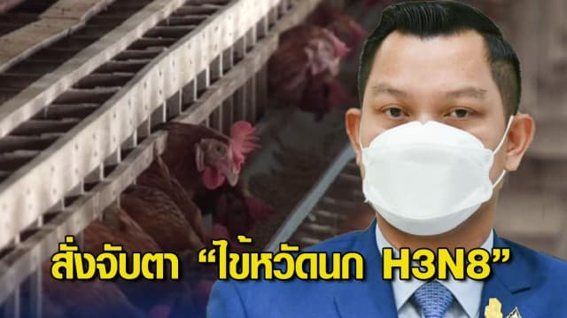 นายกฯ สั่งจับตา “ไข้หวัดนก H3N8” อย่างใกล้ชิด กำชับ กรมปศุสัตว์ ป้องกันไม่ให้ระบาดในประเทศ 