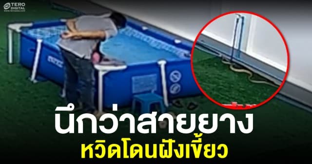 ใจหายแว้บ! นึกว่าสายยาง ที่ไหนได้เกือบโดนฝังเขี้ยว