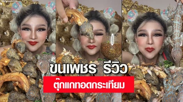 'ขนเพชร' เน็ตไอดอลคนบ้าจี้ รีวิวเมนูเปิบพิสดาร ตุ๊กแกทอดกระเทียม หลังเจอกระแสดรามา ยกซดน้ำปลาร้า