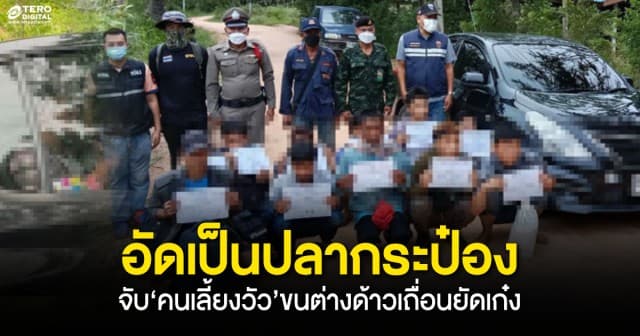 อัดเป็นปลากระป๋อง ! จับ‘คนเลี้ยงวัว’ขนต่างด้าวเถื่อนยัดเก๋ง ฟันค่าหัวคิว