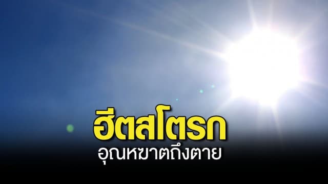 หมอธีระวัฒน์ เตือน ฮีตสโตรก อุณหฆาตถึงตาย อุณหภูมิร่างกายอาจสูงถึง 41 องศา เหมือนสมองและเครื่องในสุก