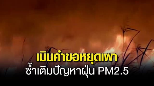 ชาวนาอ่างทอง เมินคำขอหยุดเผา จุดไฟเผาตอซังข้าว ซ้ำเติมปัญหาฝุ่น PM2.5 นายอำเภอสั่งตามหาตัวดำเนินคดี