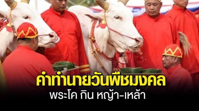 คำทำนาย วันพืชมงคล 2566 พระโค กิน หญ้า-เหล้า  น้ำท่าบริบูรณ์ เศรษฐกิจรุ่งเรือง การค้า ตปท.ดีขึ้น