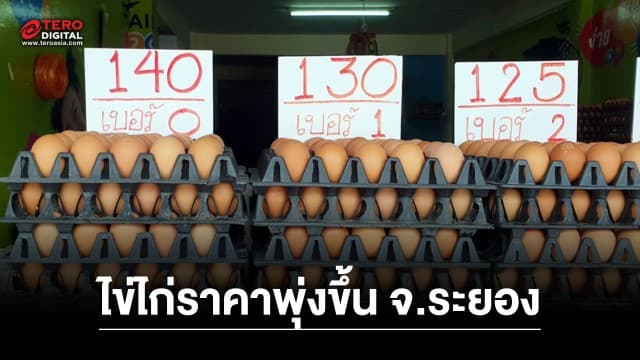 แม่ค้าร้อง! ไข่ไก่ราคาพุ่ง เดือนเดียวแผงละ 18 บาท จ.ระยอง