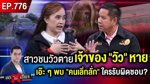 สาวขับรถชนวัวดับ พิรุธชัด “ผญบ.” เป็นเจ้าของ แต่ประกันมาถึงปุ๊บ วัวไร้เจ้าของปั๊บ !