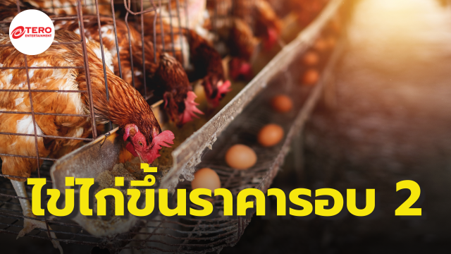 ขึ้นได้อีก ! ไข่ไก่ ขึ้นราคาฟองละ 20 สตางค์ คาดราคาพุ่งแตะ 5-6 บาท