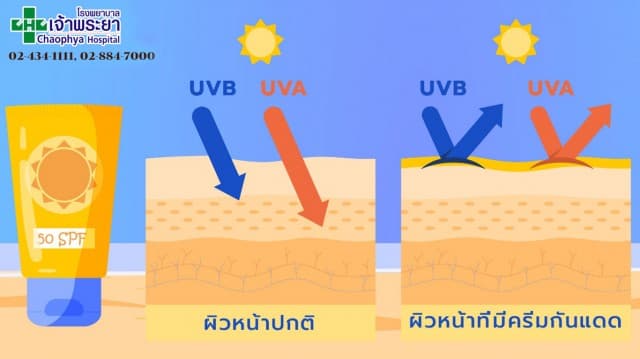 แสงแดดบ้านเรามีอันตรายมากน้อยเพียงใด