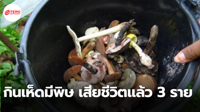 เตือนระวัง ! กินเห็ดป่ามีพิษ เสียชีวิตแล้ว 3 ราย จ.ยโสธร