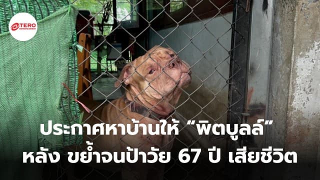 ประกาศหาบ้านให้ “พิตบูลล์” หลัง ขย้ำจนป้าวัย 67 ปี เสียชีวิต