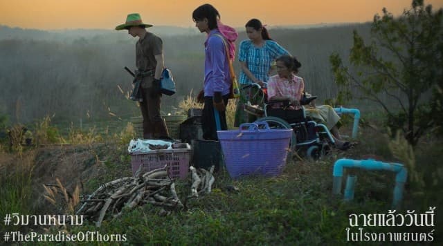 ‘วิมานหนาม’ เตรียมฟาดสนั่นอเมริกา เมืองไทยก็ยังฉายอยู่ในโรงภาพยนตร์