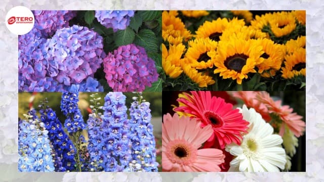  4 ดอกไม้ความหมายดี 