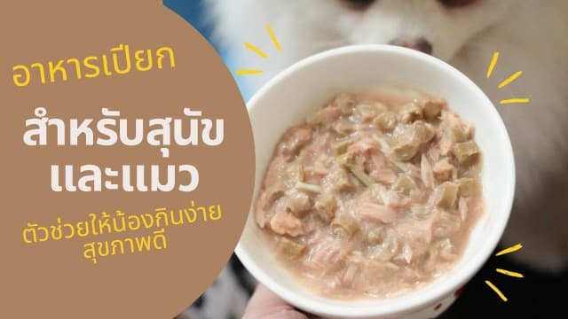 อาหารเปียกสำหรับสุนัขและแมว: ตัวช่วยให้น้องกินง่าย สุขภาพดี