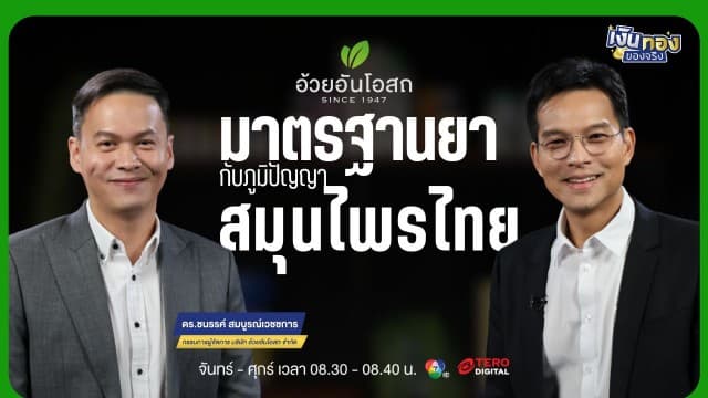 ข่าว: อ้วยอันโอสถ ผสานภูมิปัญญาไทยกับมาตรฐานยาสากล ด้วยคุณภาพที่ตรวจสอบได้ | เงินทองของจริง
