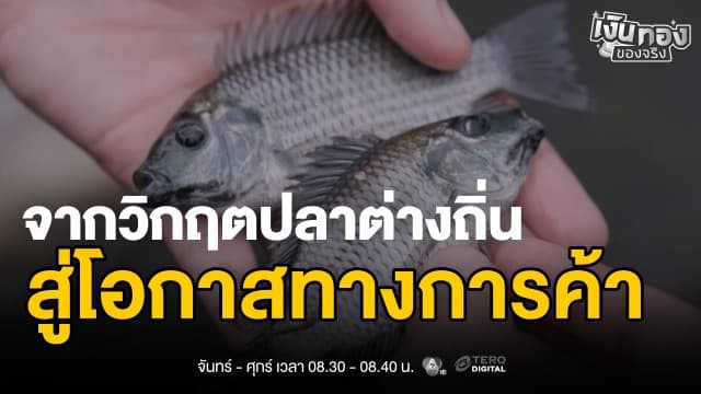 ข่าว: เอเลี่ยนสปีชีส์ในน้ำไทย จากปัญหาสิ่งแวดล้อมสู่ผลิตภัณฑ์มูลค่าเพิ่ม | เงินทองของจริง