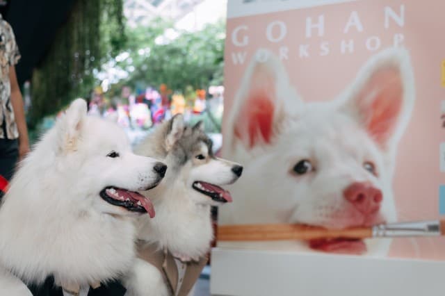 GDH จับมือ CPN จัดกิจกรรม โกเวิร์กช็อปไปกับเจ้าโกฮัง เนรมิตพื้นที่ศูนย์การค้า “CENTRAL WESTVILLE - CENTRAL EASTVILLE” รวมงานคราฟต์ สุดคิวต์ โดนใจกลุ่มคนรักสัตว์เลี้ยง