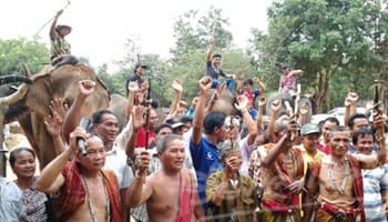 สุรินทร์-ควาญช้างทั่วประเทศรวมตัวทำพิธีบวงสรวงศาลประกำ