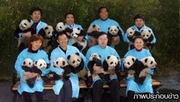 สนใจไหม! รับสมัครพี่เลี้ยงแพนด้า ได้ค่าเหนื่อยปีละล้าน 